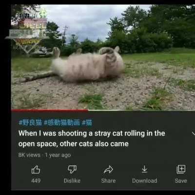 Aethnurkington, violence, mofumf whackowy