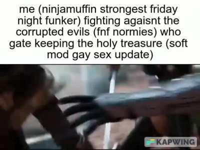 Another meme about FNF soft mod