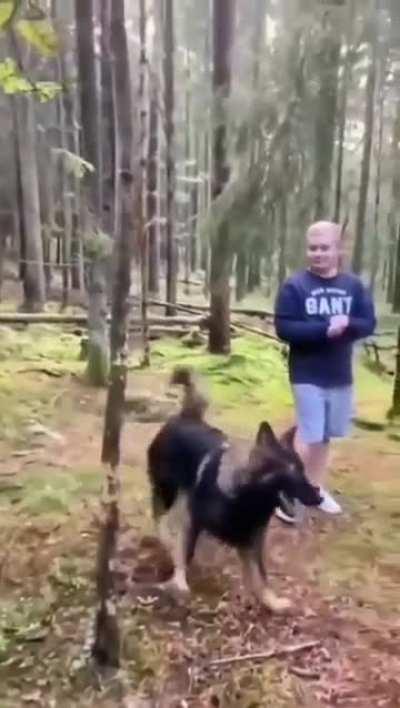 Don't worry, my dog doesn't bite.