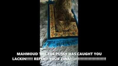 100% HOT WOMAN PICTURE NO BAMBOOZLE (EXTRA SUSSY HARAM EDITION FOR INFIDELS)