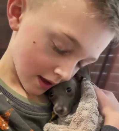 Boy comforts puppy scared of bath time