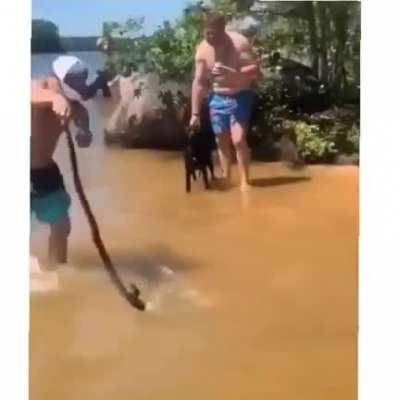 Snake throwing skills