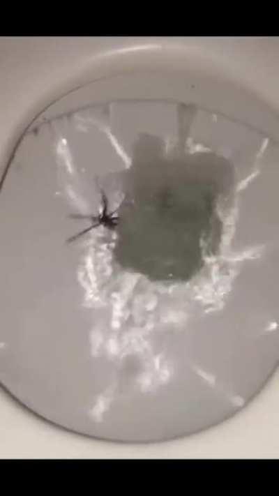 Welcome to Australia