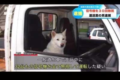 The reporter doesn't get paid enough to hide the laughter in the background. 