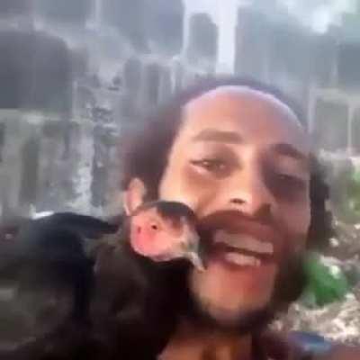 Esse papagaio é super raro!!!!