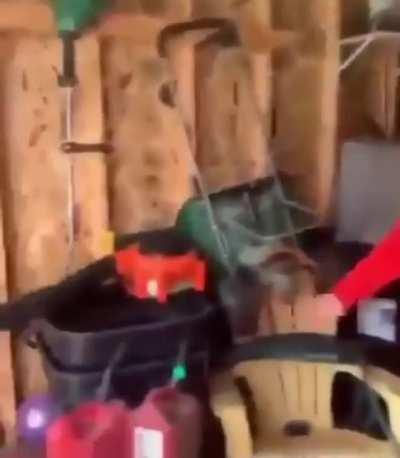 No one go to chads birthday