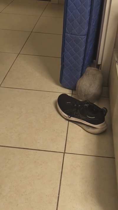 Movable object vs unstoppable force