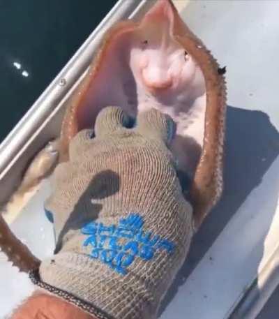 My girlfriend thought this was cute… 😧