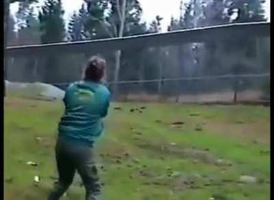 The woman quickly deals with the aggressive wolf