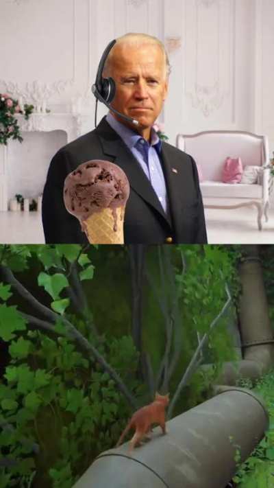 Presidents Discuss Pet Preference