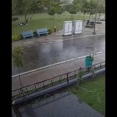 WCGW standing under a tree in a thunderstorm