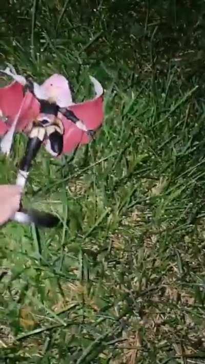 What too much yaoi does to a mf