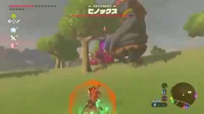 [The legend of zelda: breath of the wild] yeet