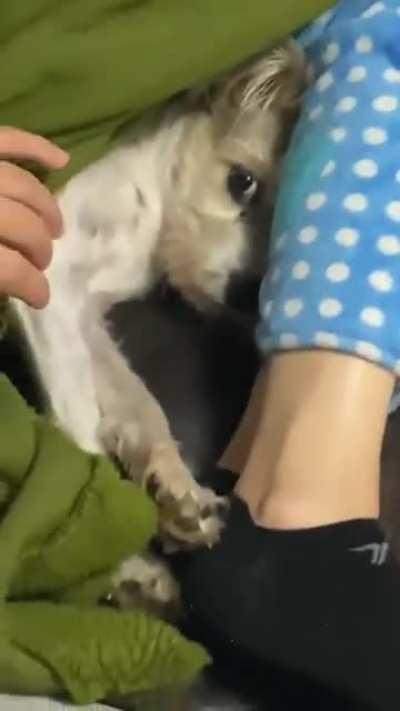 close the curtain ... I have my own atmosphere here