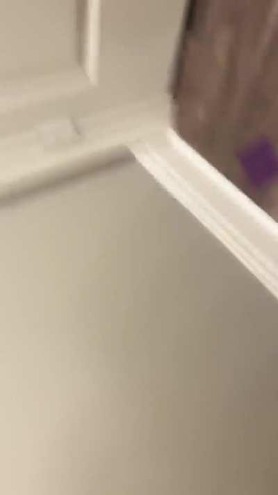 Man enhances the next generations gene pool