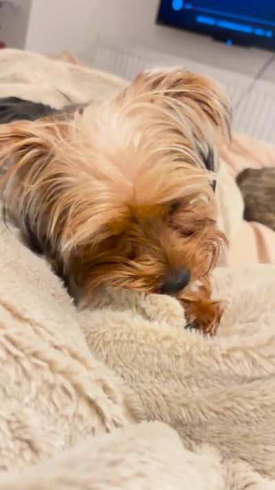 Is this normal behaviour?