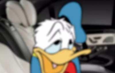 Donald ducky