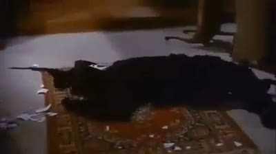 Man tries to end a womans' free life trial