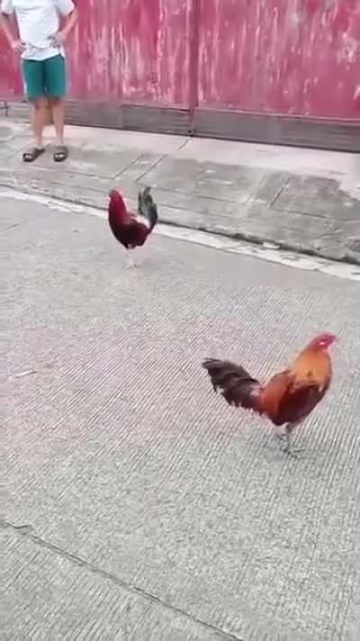 Dinaanan lang yung mannac oh😂