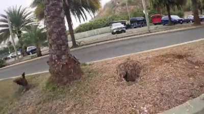 That thing came outta nowhere