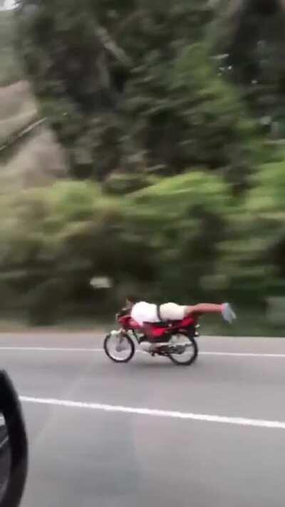 Meat crayon torpedoes of the DR.