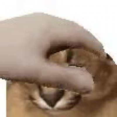 hello we have a wsp chat, if you want to join it in the comments go right now