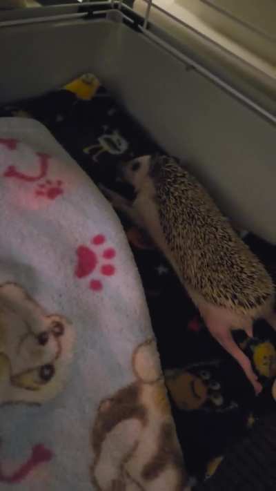 Question about whs??