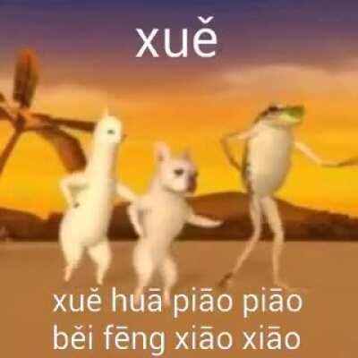 Ninguém: Cantores de kpop: