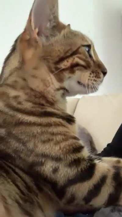 Digestive health starts with a good massage therapist