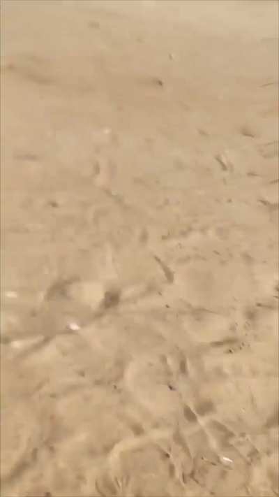 A rocket hit a refugee camp in Gaza