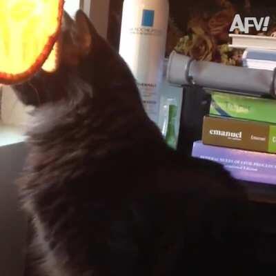 They have a lot of mistakes