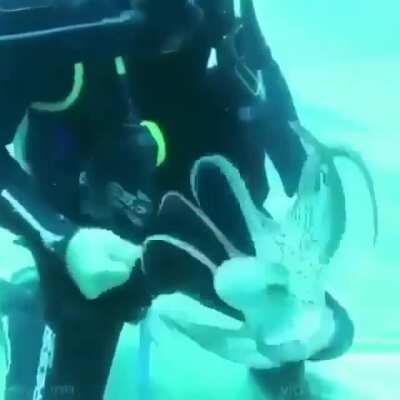 That's a whole lotta snoot boopin'