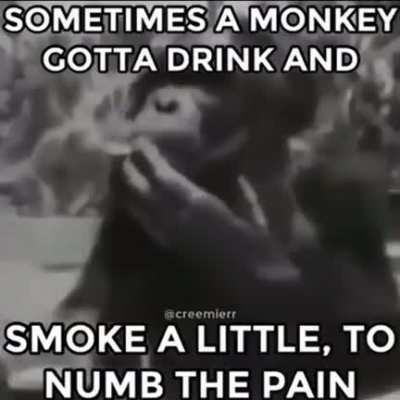 But monke, smoking,drinking bad :*(
