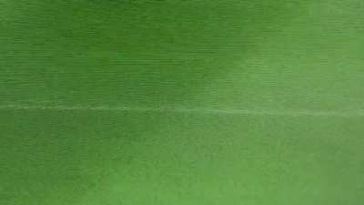 This might be the wildest save I've ever seen in a PS2 era PES