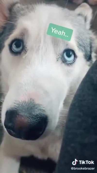 Not happy about the end of the quarantine