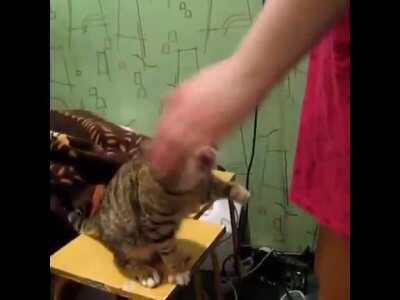 This right here is the spot