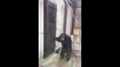 waiting for the elevator like