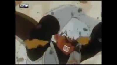 I HAVE FOUND IT, THE BEST VIDEO ON EARTH (DRAGON BALL: PORTUGUES DUB)