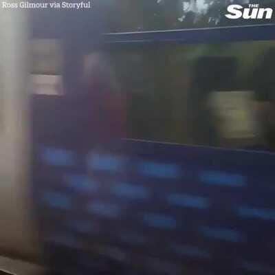 Harry Potter fans queue for hours to see Hogwarts Express only for a commuter train to block the view