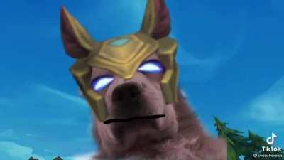 HAHAHAHAHAHAHAHA BONK