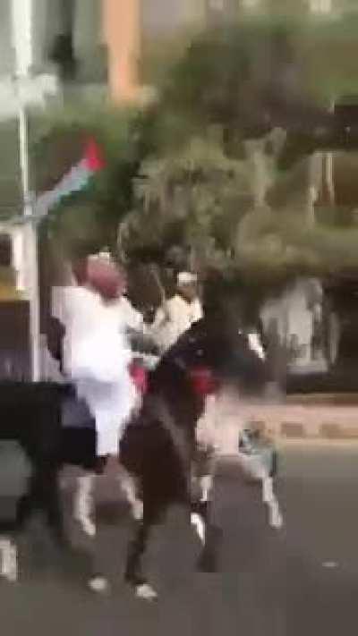 Mujahideens marching towards Israel.