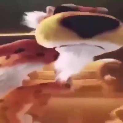 Day 52 of posting this until I get ternion all powerful