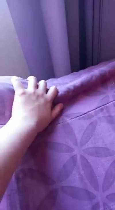 Old video of my boyfriend's cat!