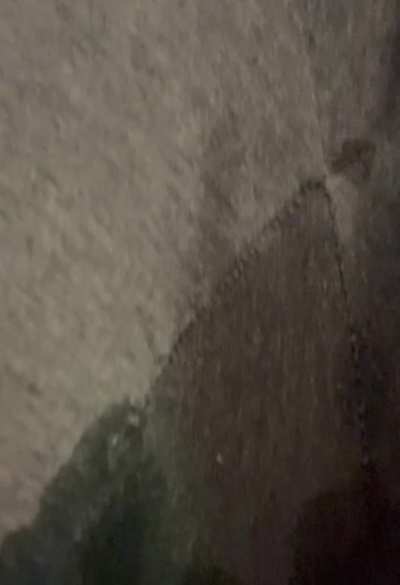 Desperately wetting my leggings