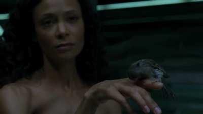 Thandie Newton - Westworld S01E05