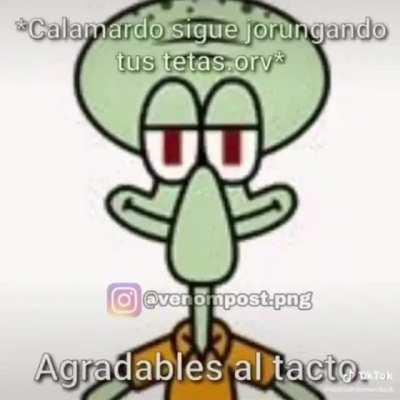 Kalamardo inspecsion