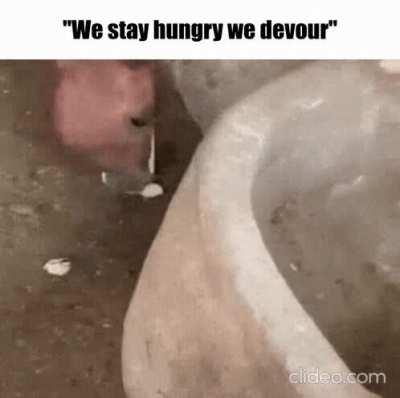 Put in the work, Put in the hours...