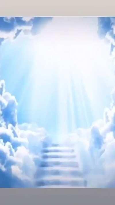 Bros spirit animal is Snorlax