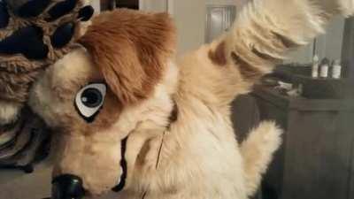 dont be ashamed for being a furry, be ashamed for doing this stuff