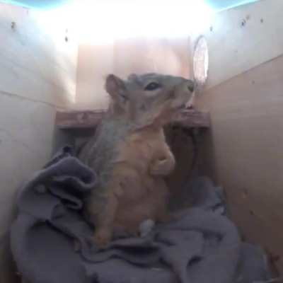 It’s just thunder Anon. Go back to sleep.